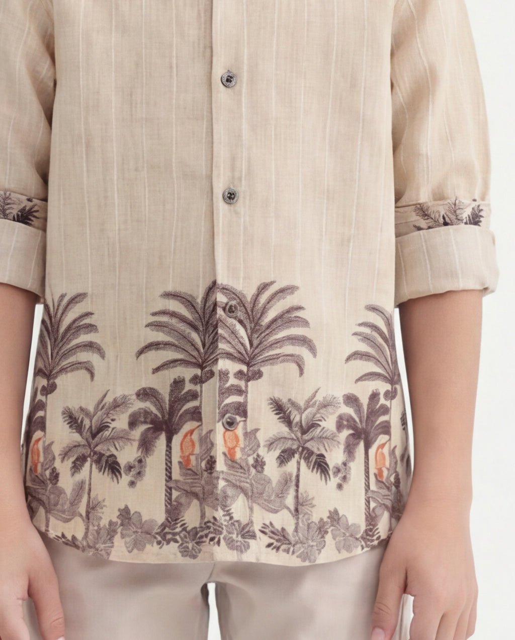 Tropical palm