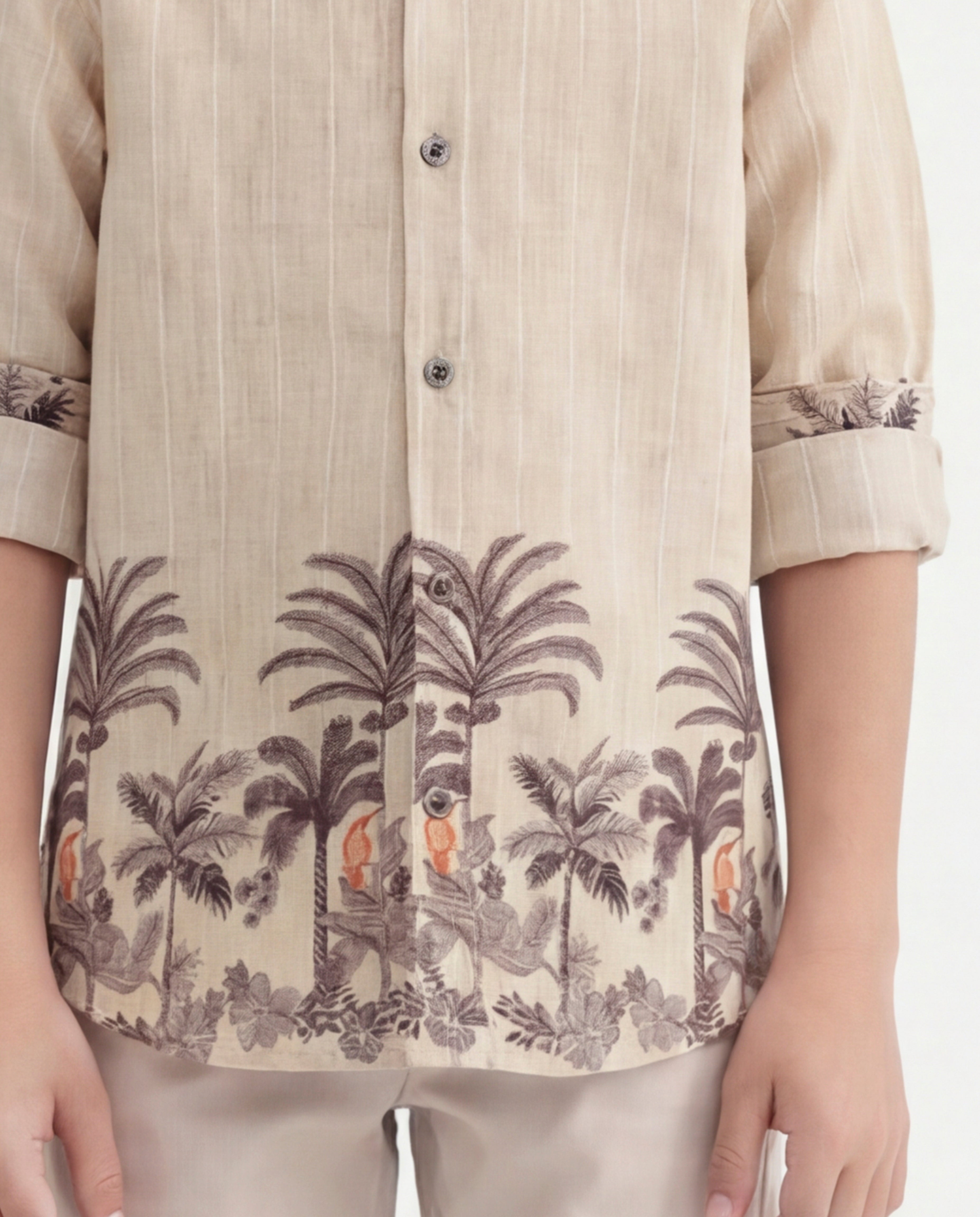 Tropical palm