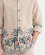 Tropical palm