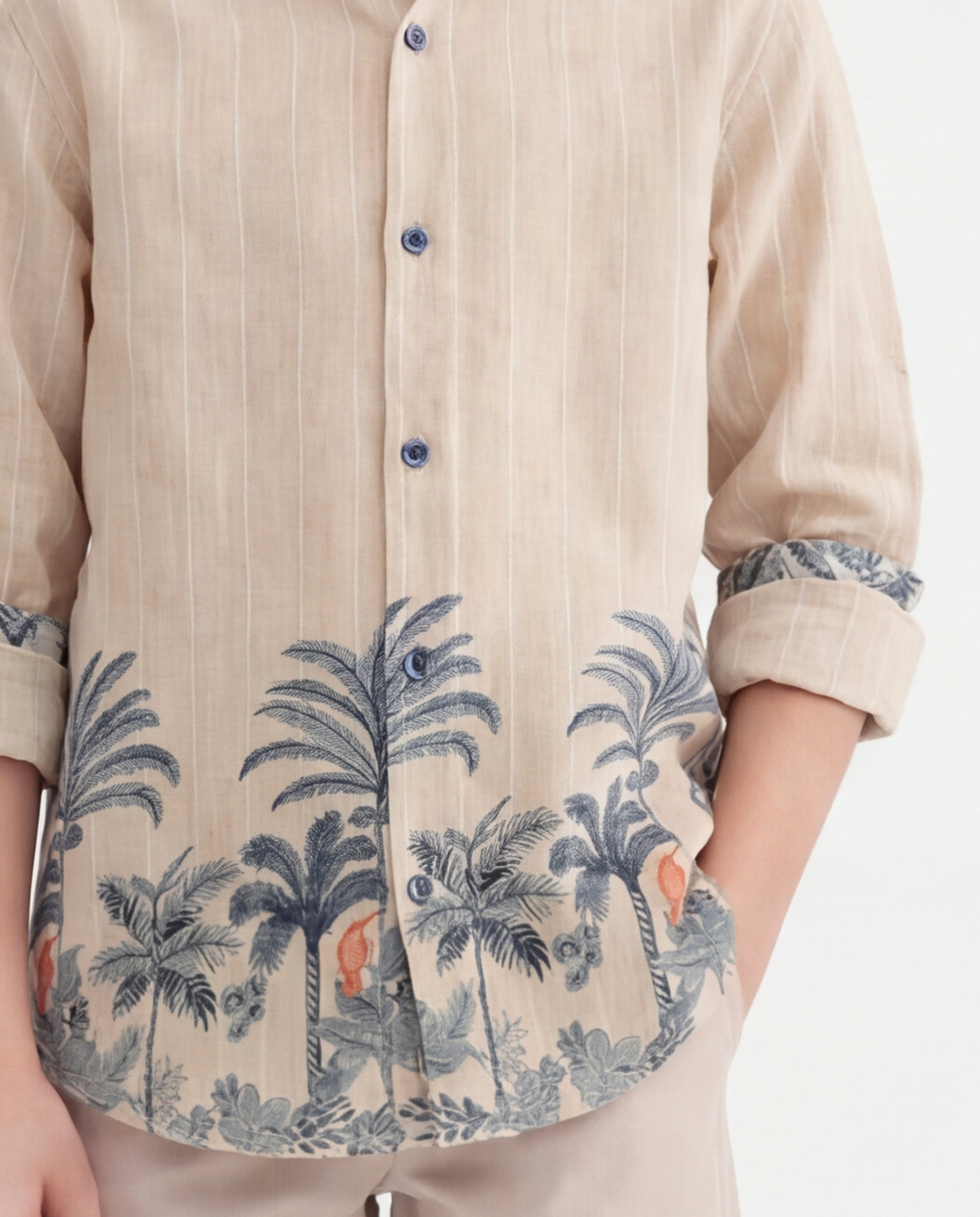 Tropical palm