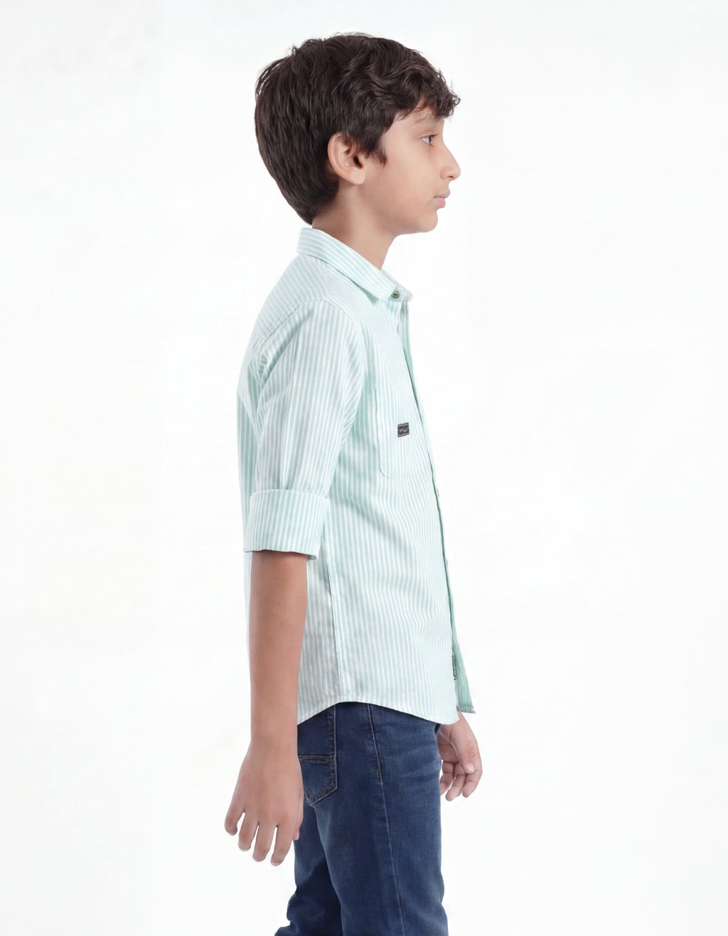 Classic Pinstripe Cotton Shirt
